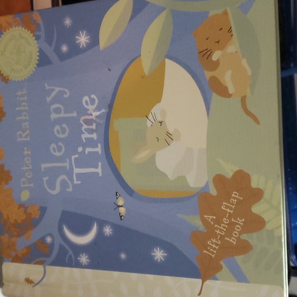Sleepy Time Peter Rab it Boardbook